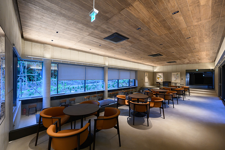 카페 내부 사진